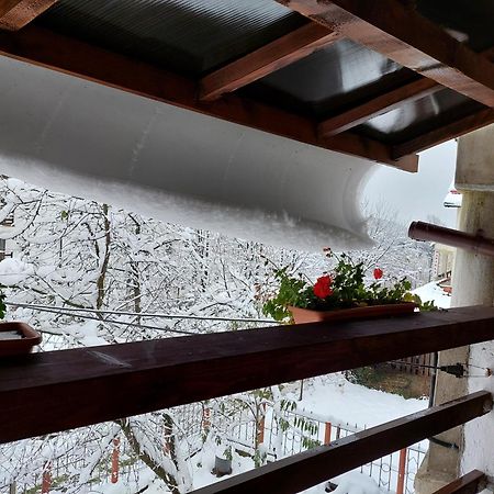 Holiday House Văliug Екстериор снимка
