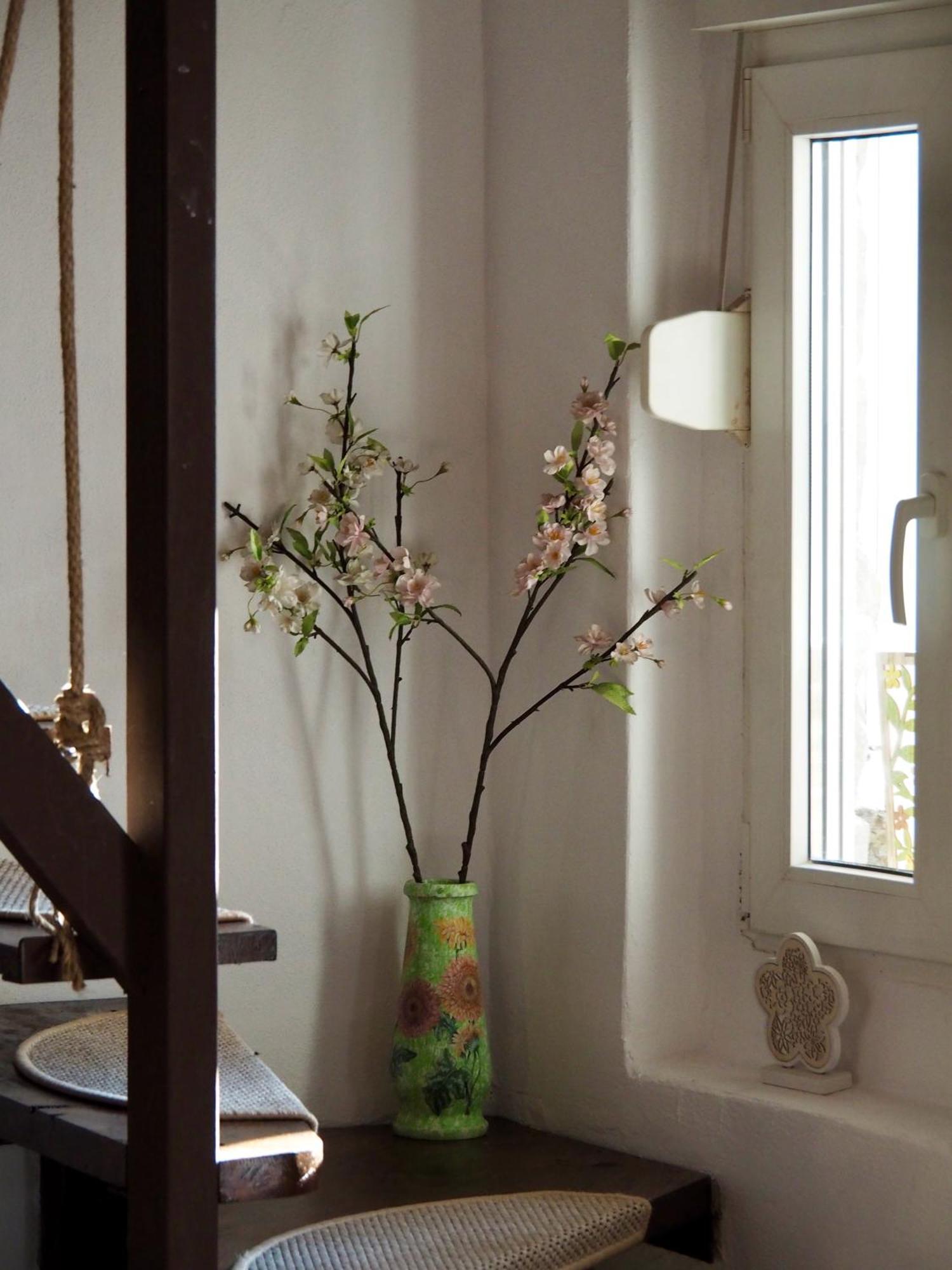 Holiday House Văliug Екстериор снимка