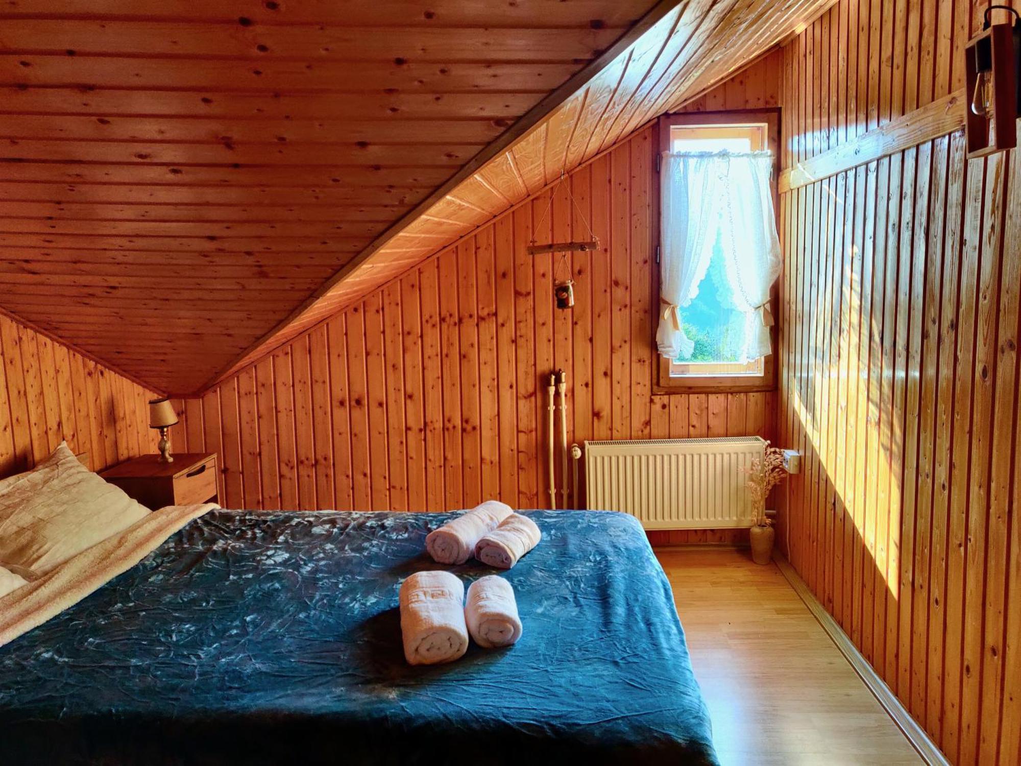 Holiday House Văliug Екстериор снимка