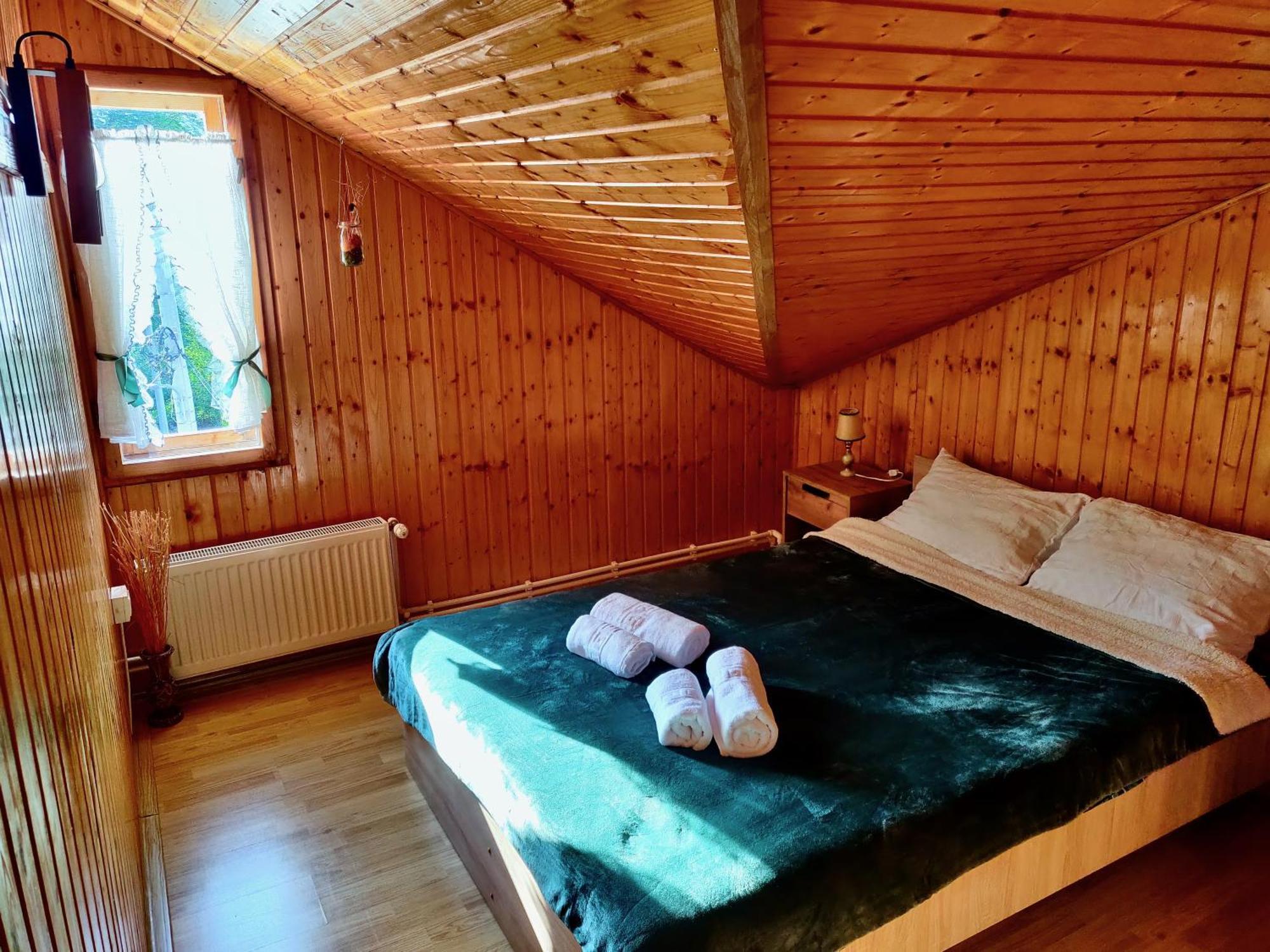 Holiday House Văliug Екстериор снимка