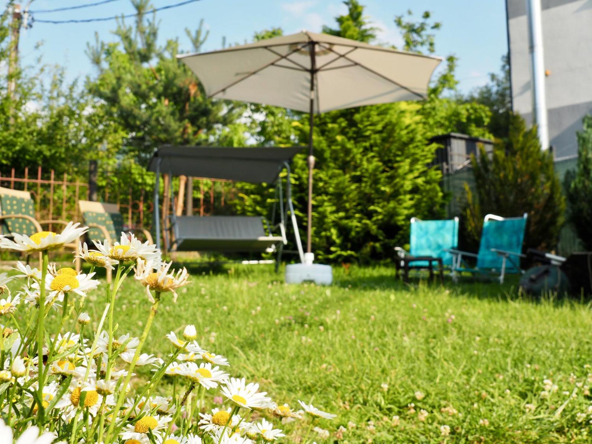 Holiday House Văliug Екстериор снимка