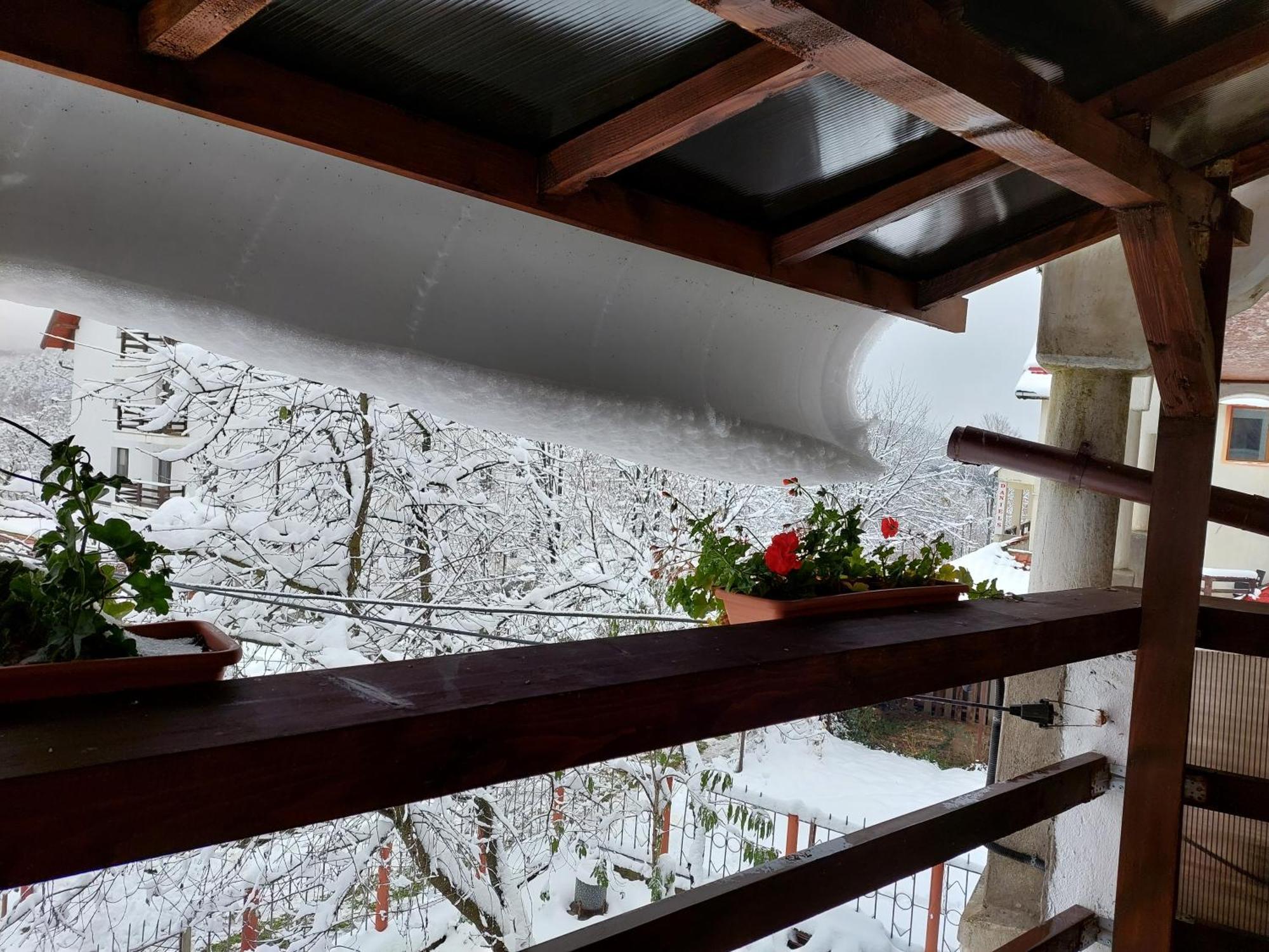 Holiday House Văliug Екстериор снимка